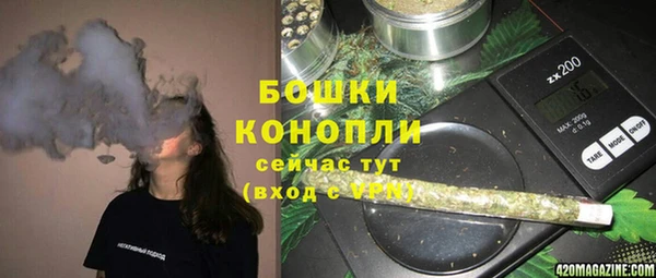 сатива Абинск