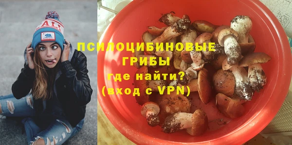 сатива Абинск