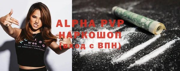 сатива Абинск