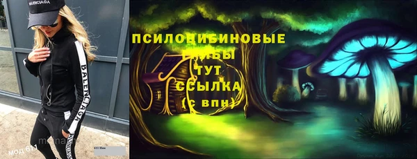сатива Абинск